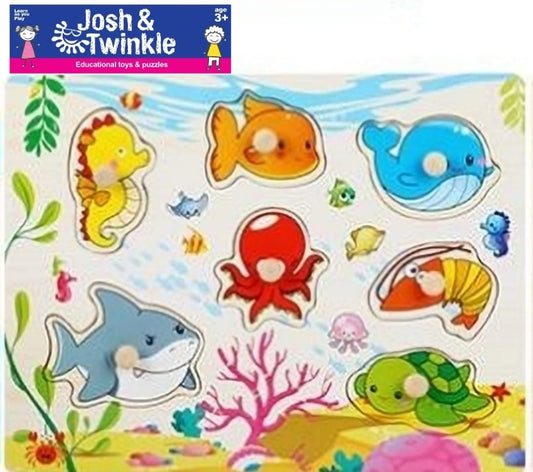 See & Spell Learning Toy